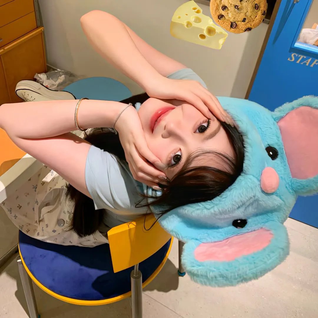 乐在旅途第三季 在线观看封面