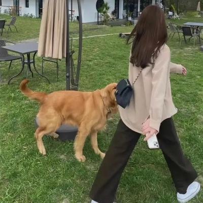 远方的狗吠声 在线观看封面